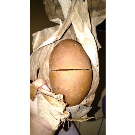 

Gula merah 1 tangkop Gula Aren asli Malingping