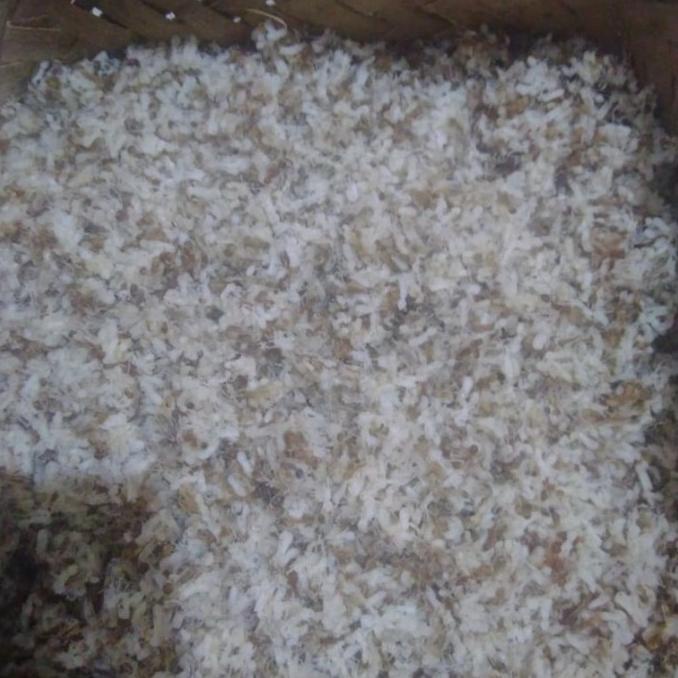[[BISA COD]] kroto1/2 kg ORIGINAL