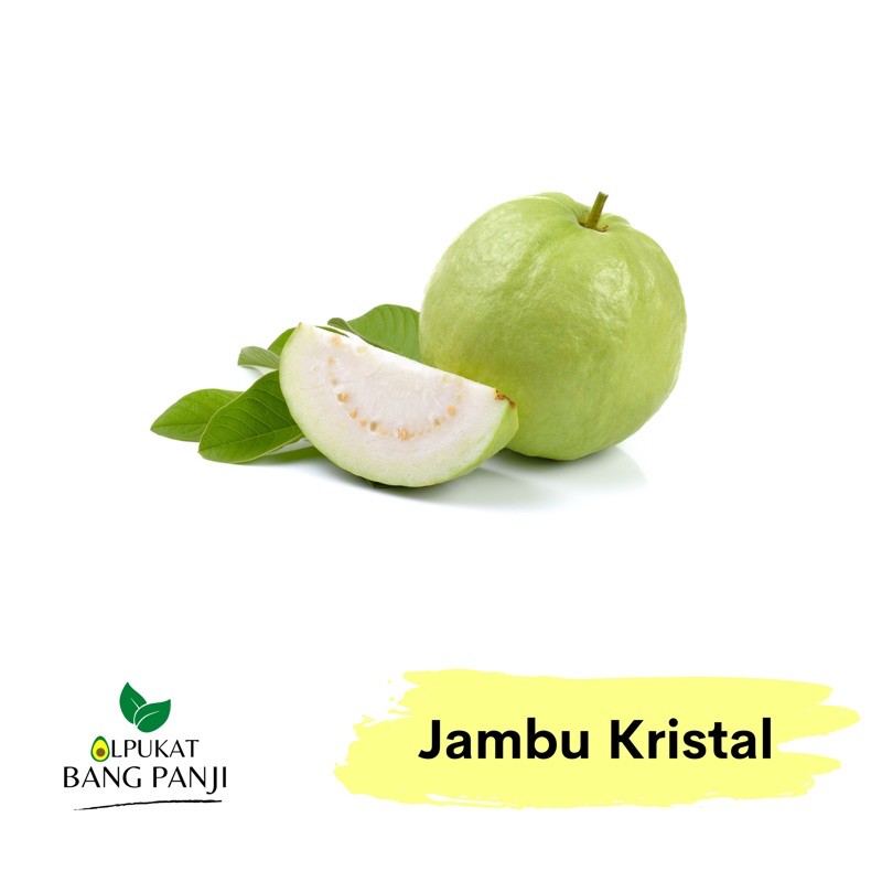 

ALPUKAT BANG PANJI - Jambu Crystal sunpride (1 kg