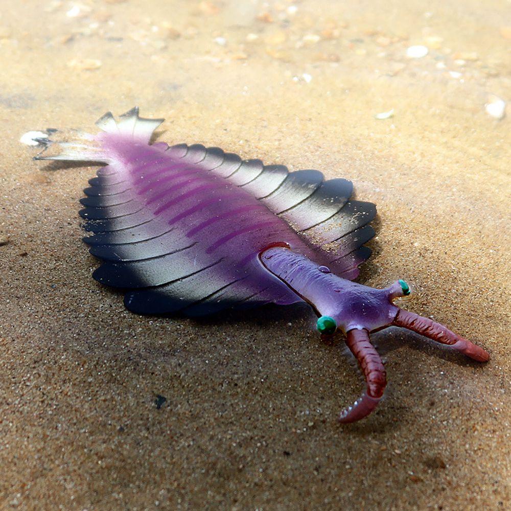 Nanas Prasejarah Organisme Laut Model Plastik Lanskap Mikro Belajar Dini Simulasi Anomalocaris