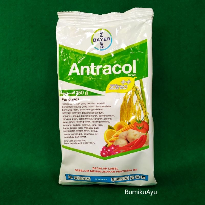 Antracol 70WP fungisida 250gr