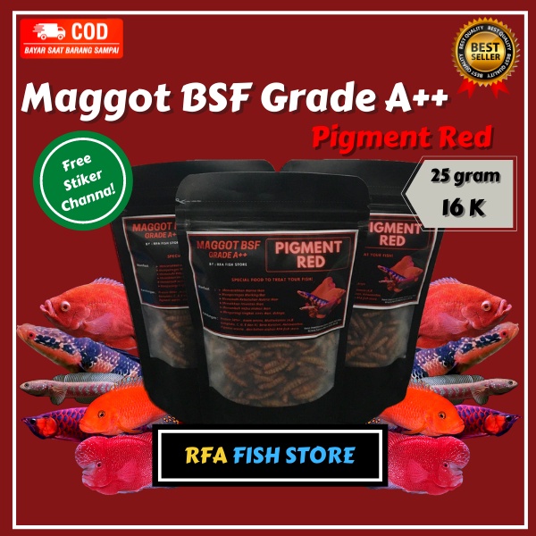 Maggot Kering BSF Grade A++ Pigment RED RFA Pakan ikan predator channa maru asiatica  bukan el barca