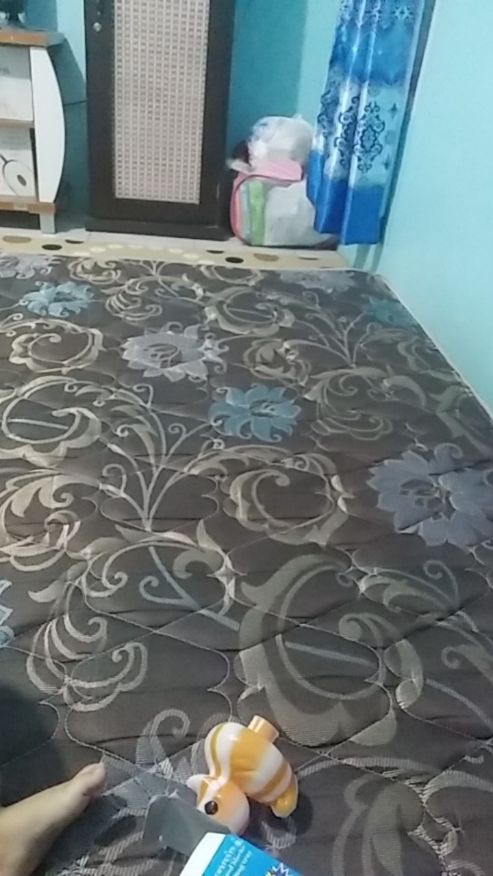 Tcs Payung Anak Unicorn / Pony / Plastik / Semi Transparan / Dof