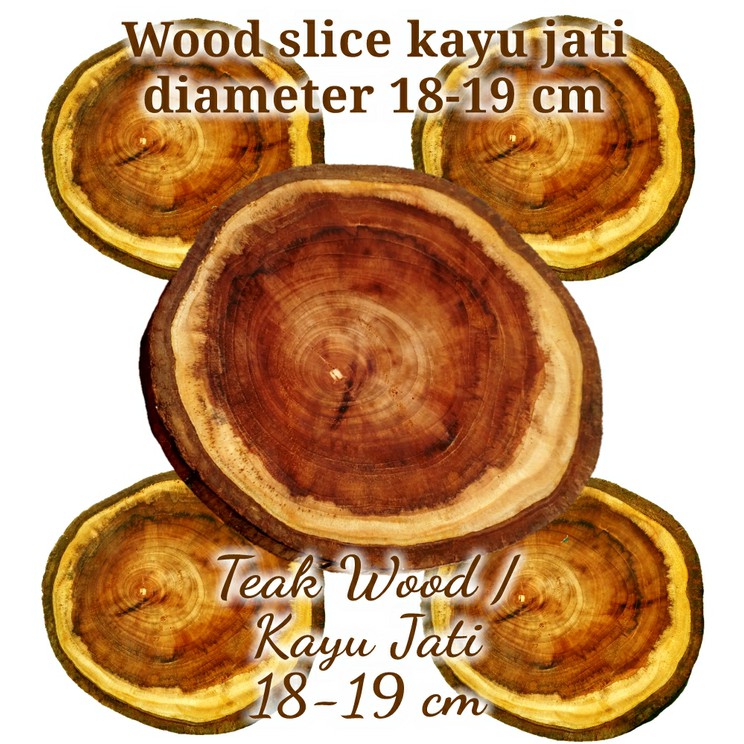 Teak wood slice kayu jati diameter 18-19 cm dekorasi craft hiasan