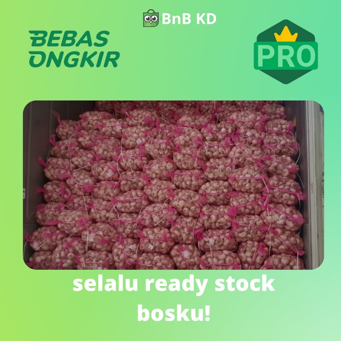 

Siap Kirim Bawang Putih Kating Bersih - 1 Kg