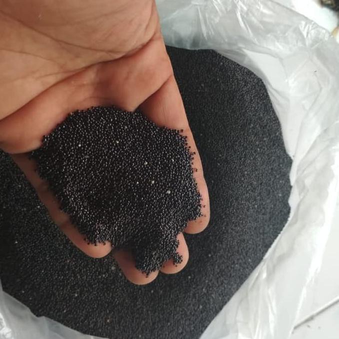 Bibit Tanaman 1 Kg Biji Benih Daun Kemangi Sayur
