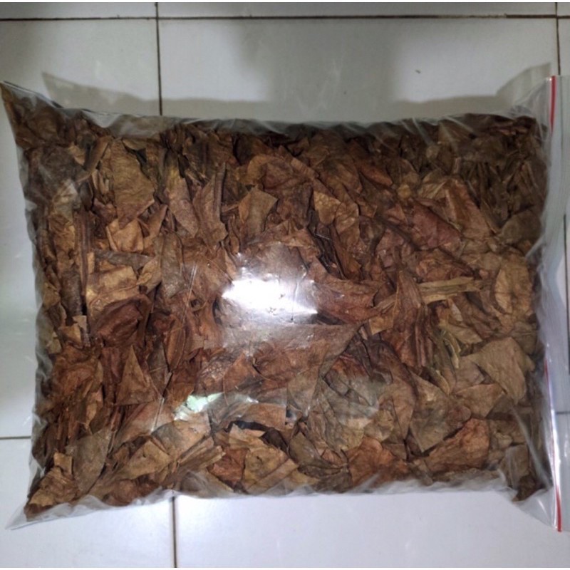 

ketapang laut original boss tinggal pakai 100gram per bungkus