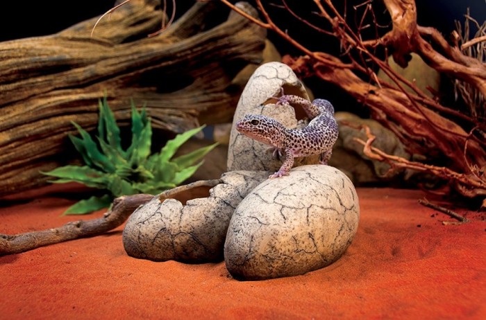 Exo Terra Dinosaurus Eggs hiding cave reptile tarantula snake gecko BD