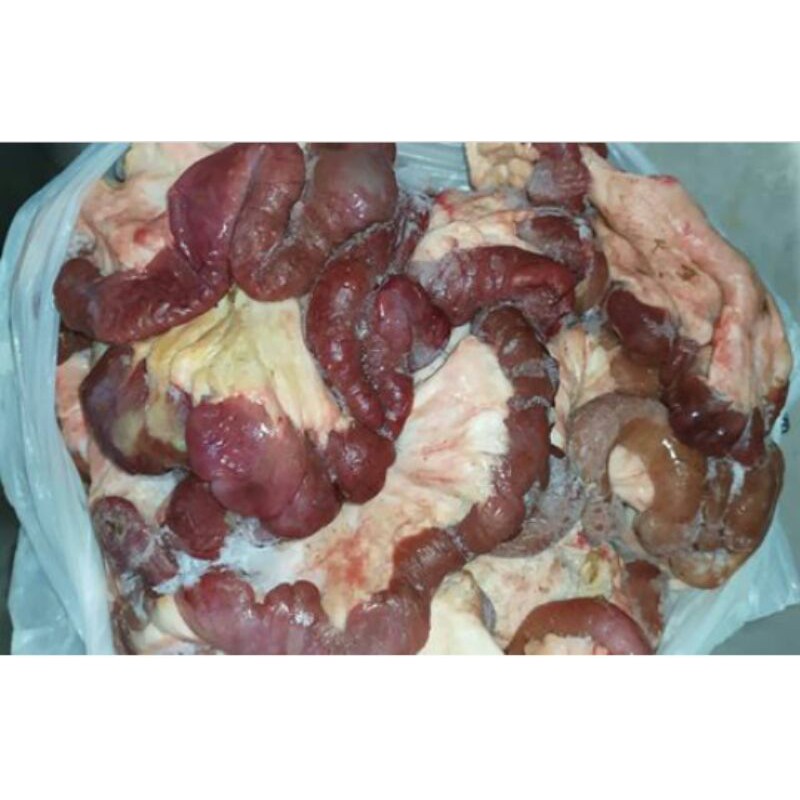 Usus sapi segar 1kg