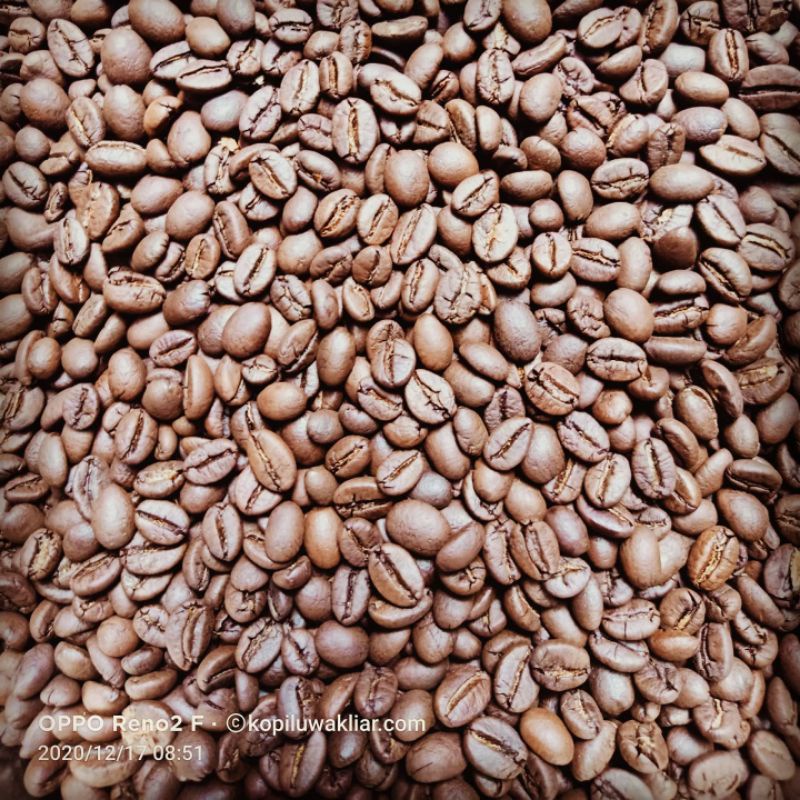 

Kopi Luwak Liar Roasted