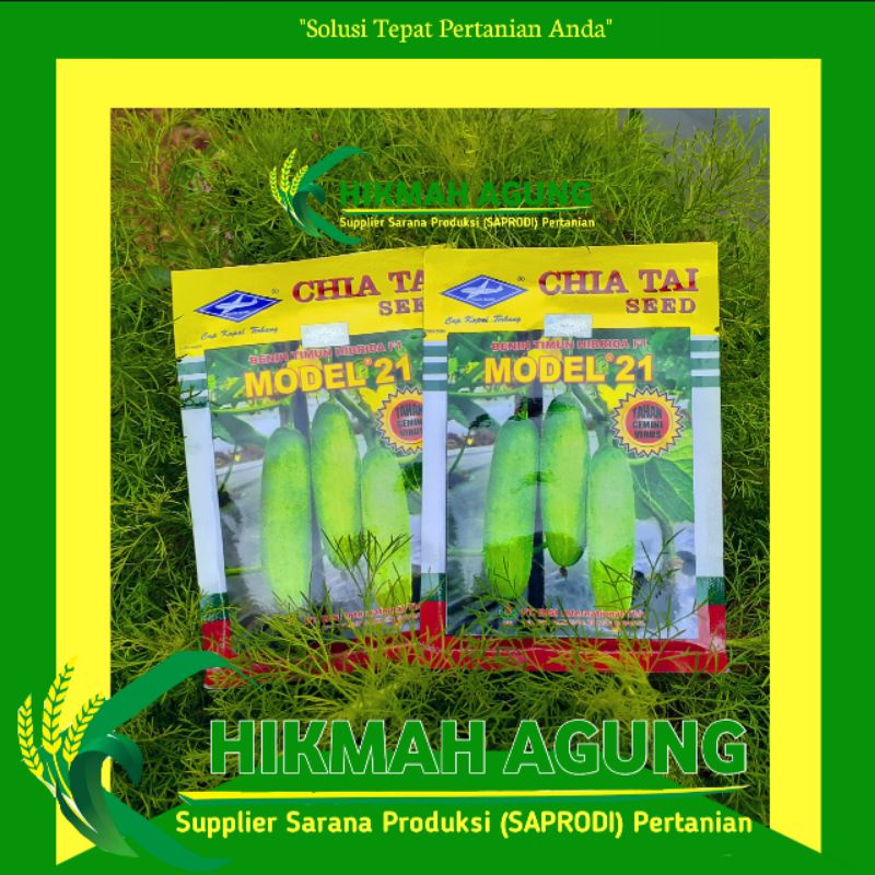 

20 gr Benih Timun Lalap MODEL 21 Bibit Sayuran Lalab Bisi Cap Kapal Terbang Chia Tai Seed