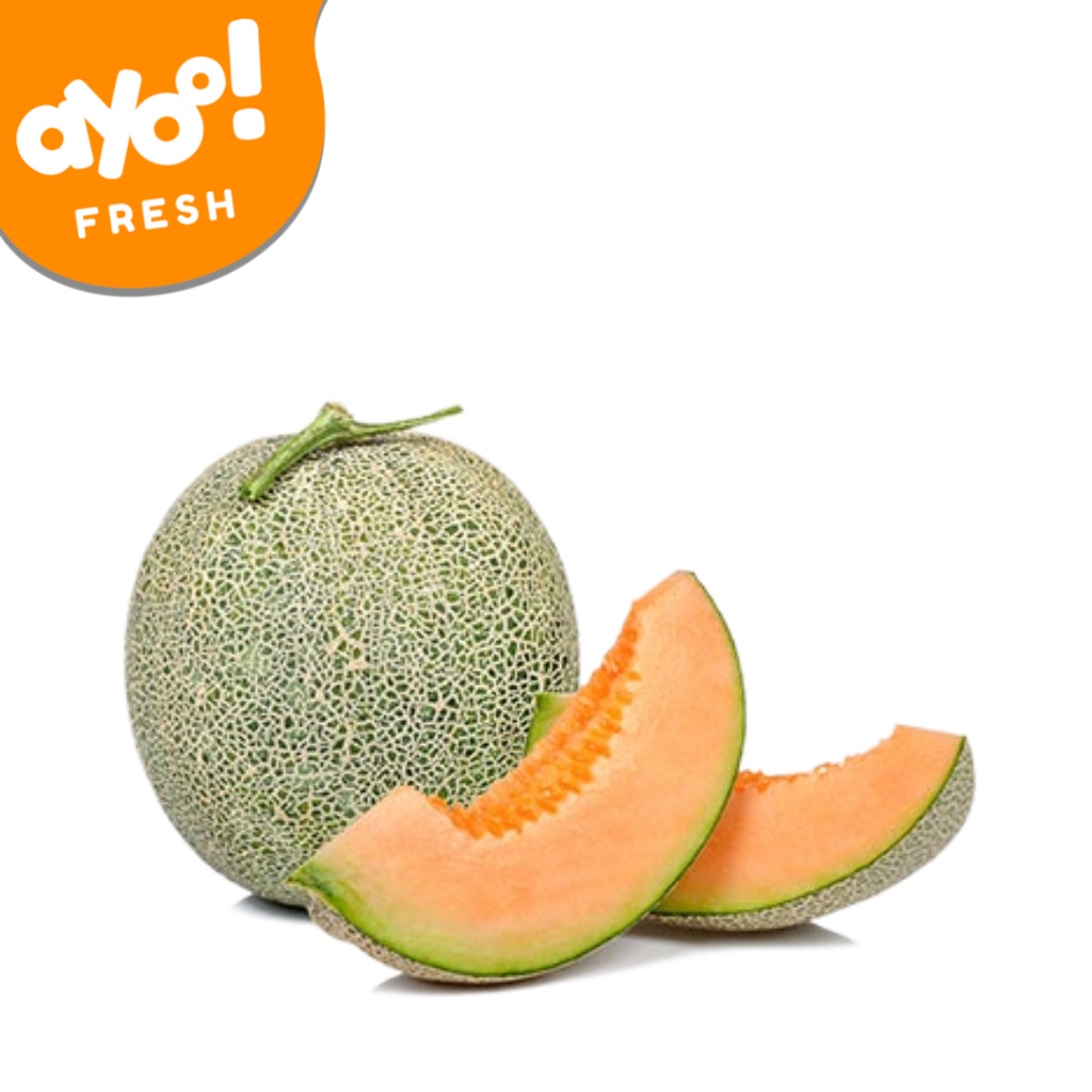 

Melon Rock 1,1 Kg - 1,3 Kg Per Buah