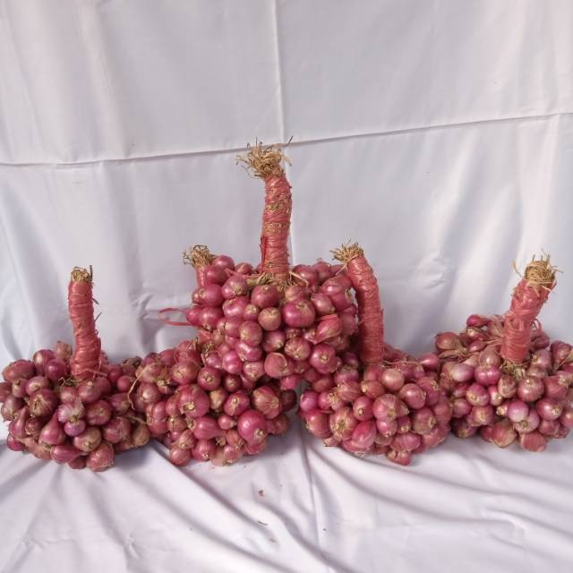 

bawang merah probolinggo bongkolan