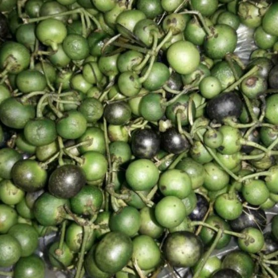 

Lencak 250gram