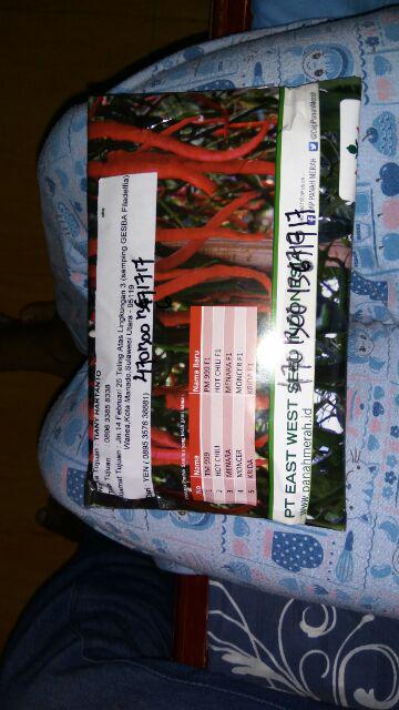 Benih Cabe / Cabai Rawit Bara 500 Butir