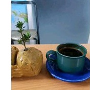 BIBIT LOHANSUNG AIR BRUSH GARANSI ORI DAN TERMURAH