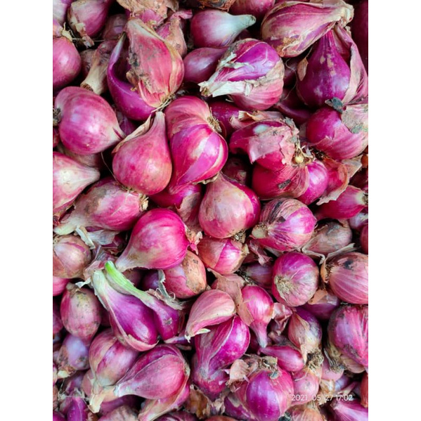 

Bawang Merah super asli brebes