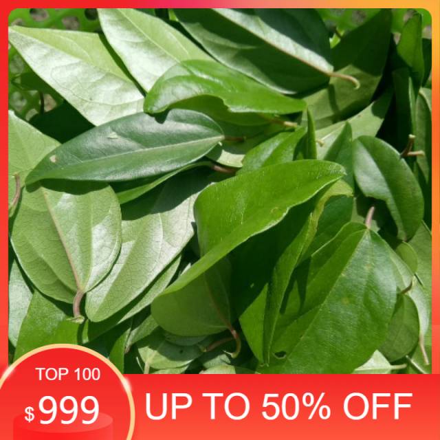 

Daun Cincau Segar 1kg ( Daun cincau jelly & perdu bebas pestisida )