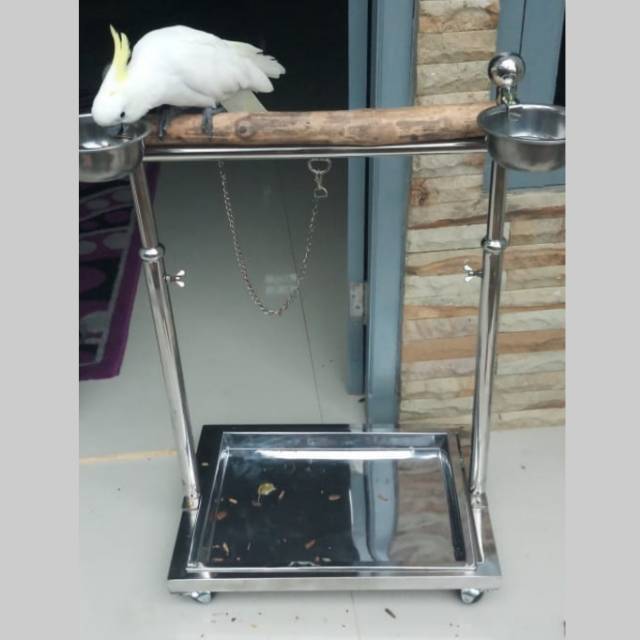 Kandang Tangkringan buat burung Paruh Bengkok Nuri Afgrey KakaTua Macau
