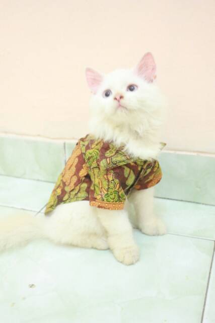 Kemeja batik jawa lucu untuk kucing dan anjing / baju kucing murah meriah size S M L XL