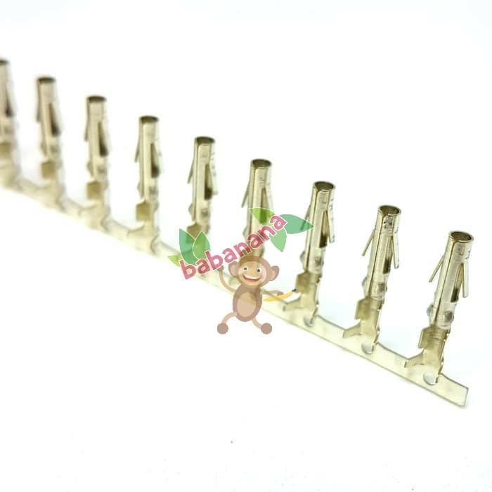 Molex Female Pin Connector
