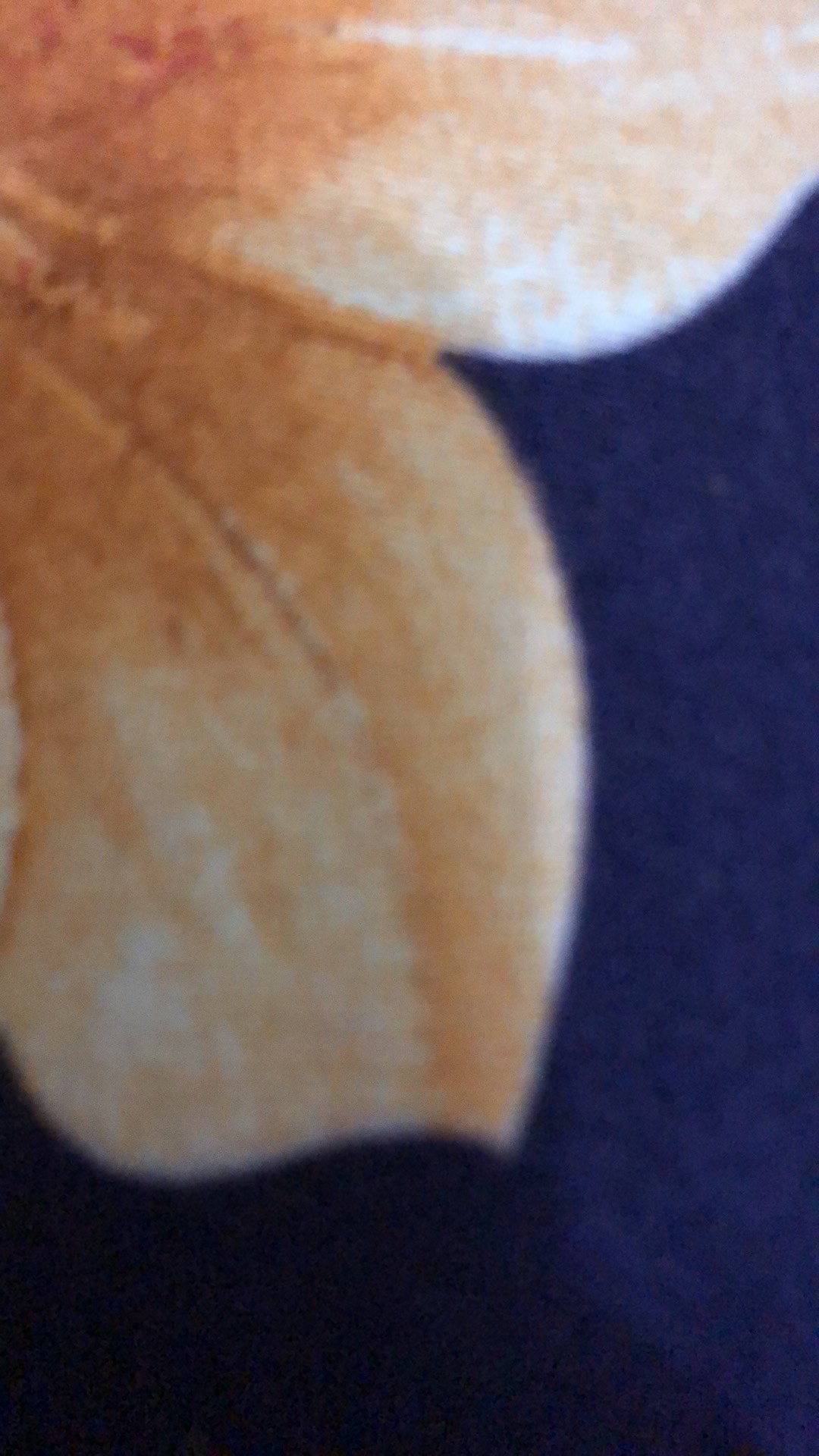 Atasan Batik Kebaya 304