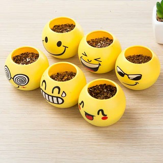  POT  BUNGA  MINI MOTIF EMOJI  TANAMAN RUMPUT MINI MINI PLANT 