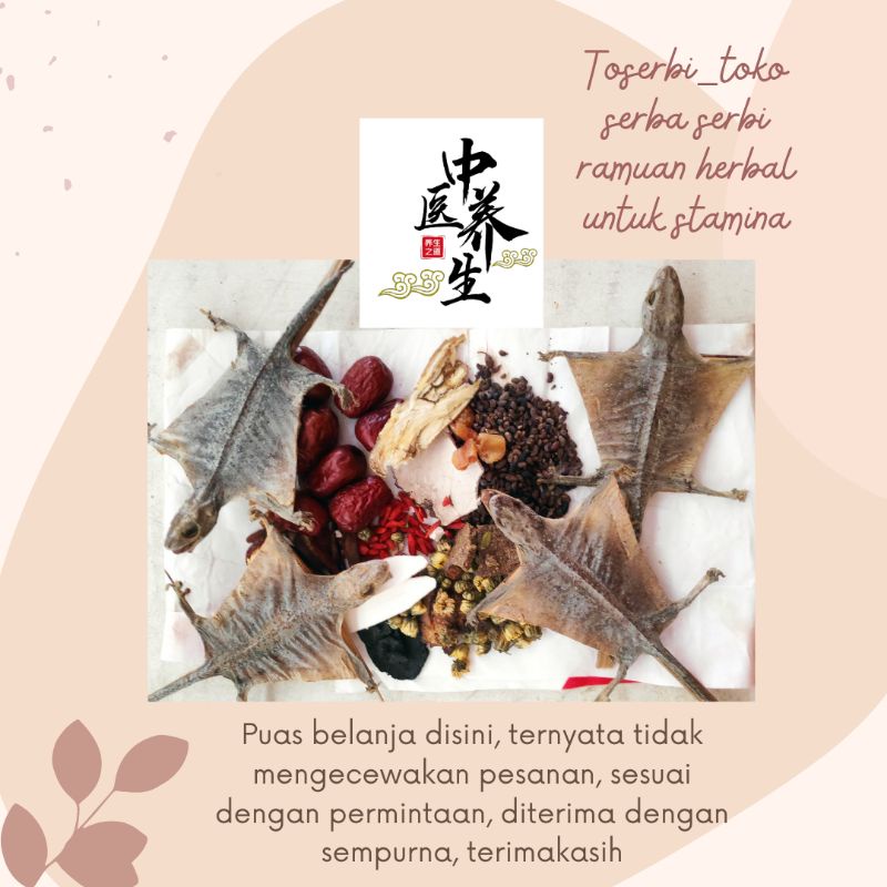 

Foshan Herbal Rendaman Kesehatan Yin Dan Darah 滋补药方