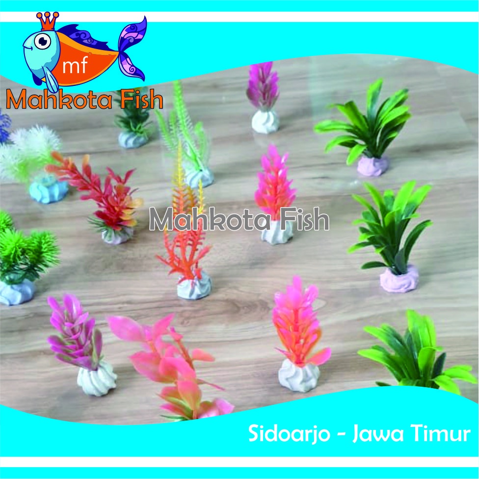 Hiasan Aquarium 10 CM (CAMPUR) | Bunga Plastik Aquarium | Bunga Hiasan Aquarium | Tanaman Hias Aquarium