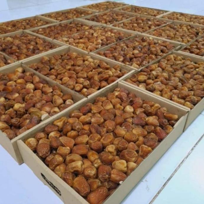 

TERBARU kurma sukari kering 3kg/KURMA 1KG/KURMA BARARI/KURMA RUTHOB/KURMA BAM/KURMA PALM FRUIT/KURMA TANGKAI/KURMA AZWA/KURMA SUKKARI/KURMA SAFAWI/KURMA TUNISIA/KURMA MUDA KUNING/KURMA MUDA HIJAU/KURMA MEDJOL/KURMA MADINAH SUPER