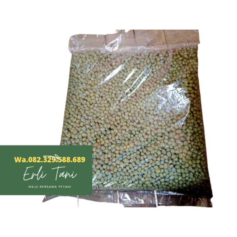 Kacang hijau lokal biji besar warna kusam isi 1 kg
