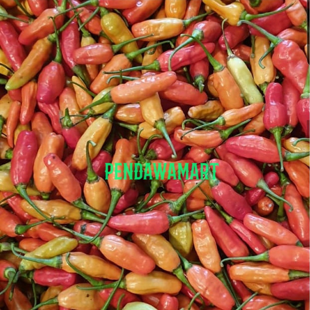 

rawit merah