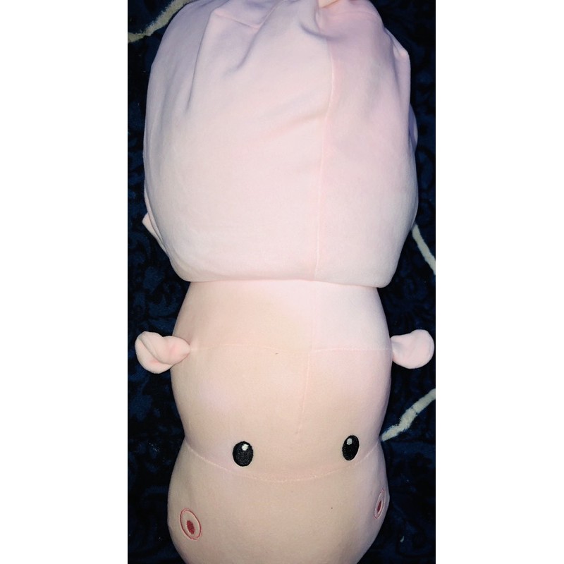 Boneka 2 in 1