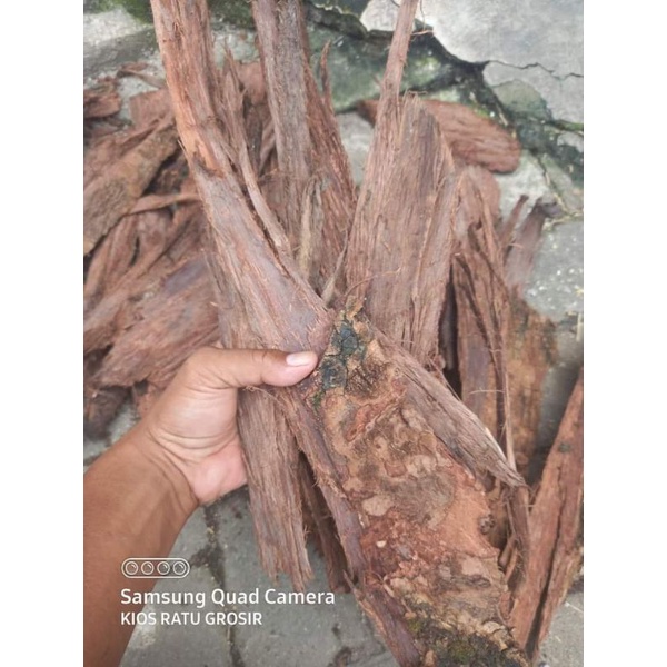 

KULIT KAYU JAMBLANG/ JUWET KERING 500 GR