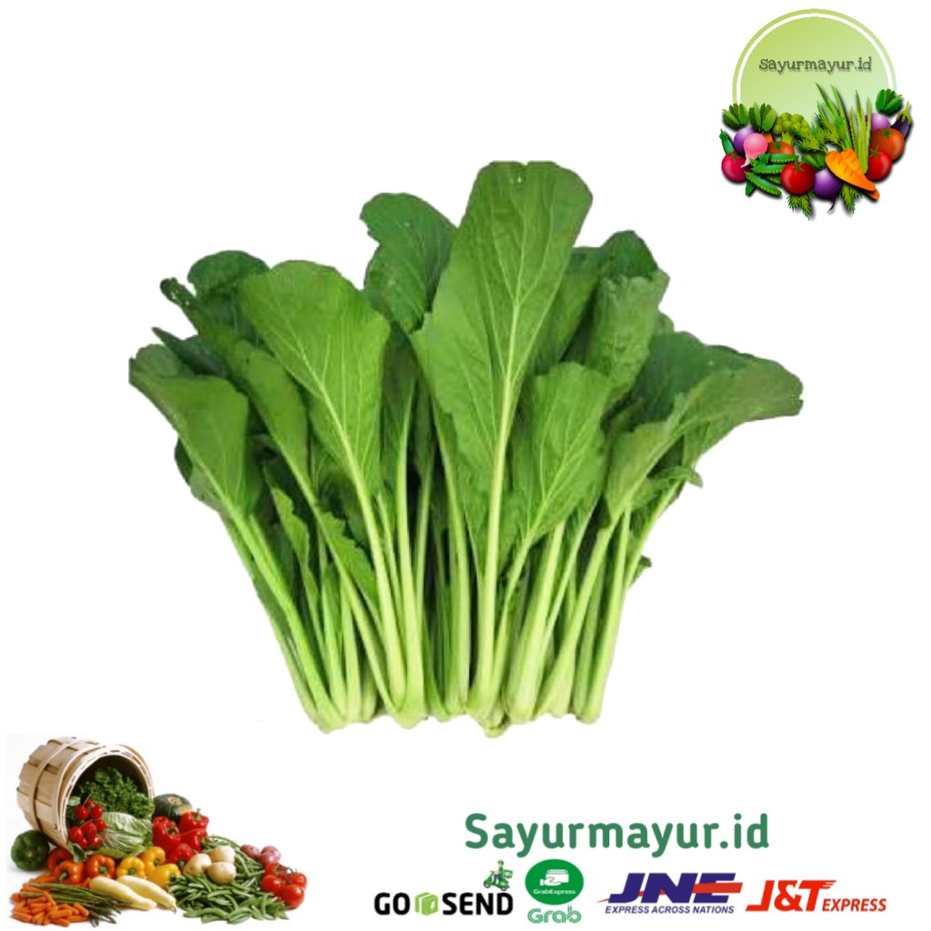 

SAWI HIJAU / CESIM SAYURAN PER 1/4 (250 GRAM)