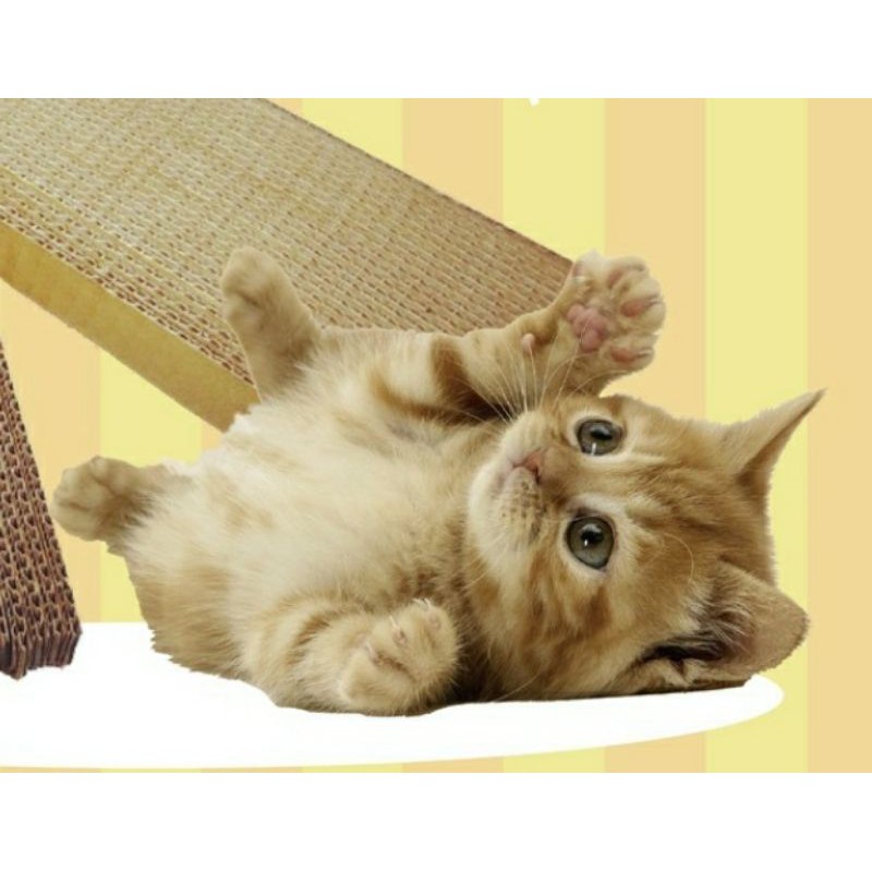 GRATIS CATNIP n TIKUS Garukan Kucing papan cakaran kucing sisal mainan cat scratcher cakar toys toy