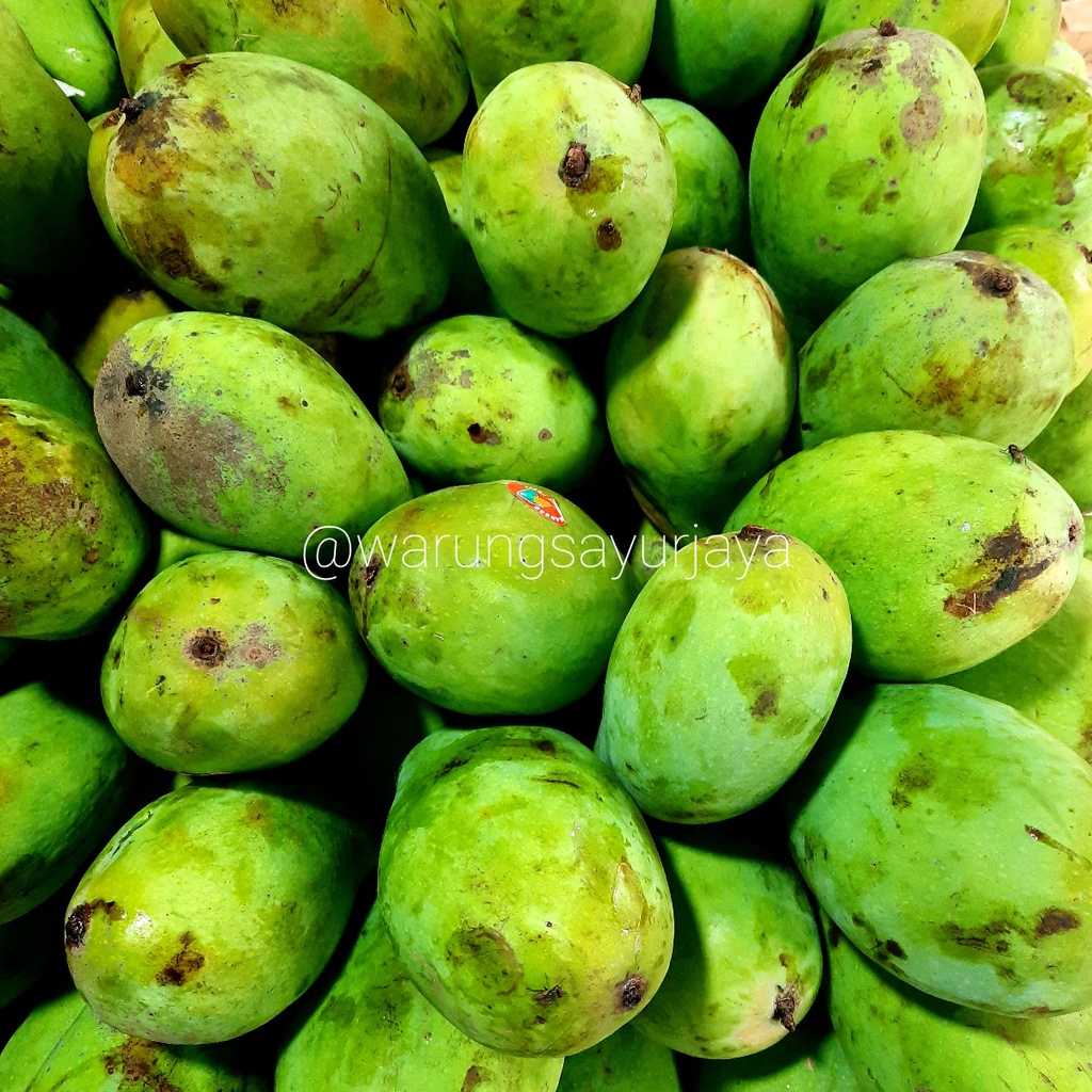 

Mangga Harum Manis / kg