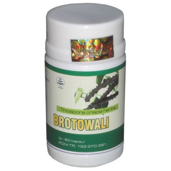 

Kapsul Brotowali,Daun Brotowali,Manfaat brotowali,Bandung PROMO