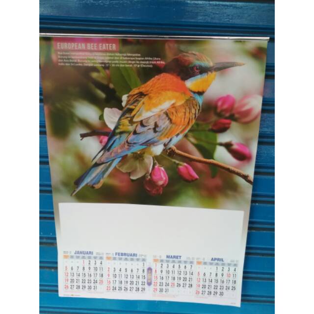 

Kalender dinding caturwulan motif Burung th 2020