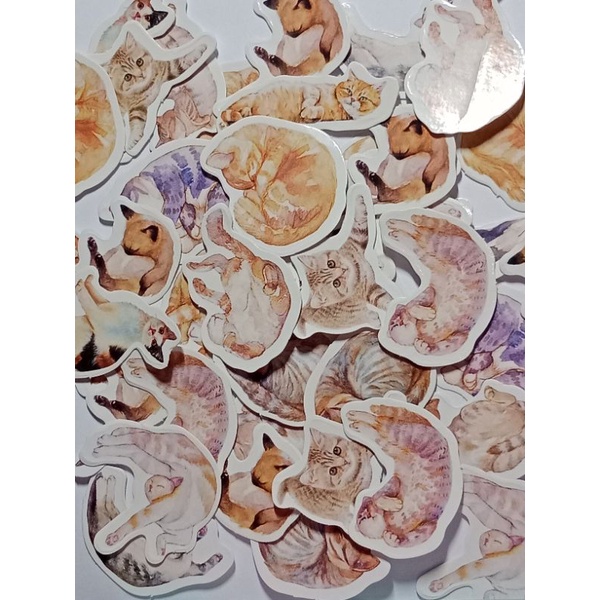 

sticker hewan/sticker kucing/bullet journal/sticker glossy