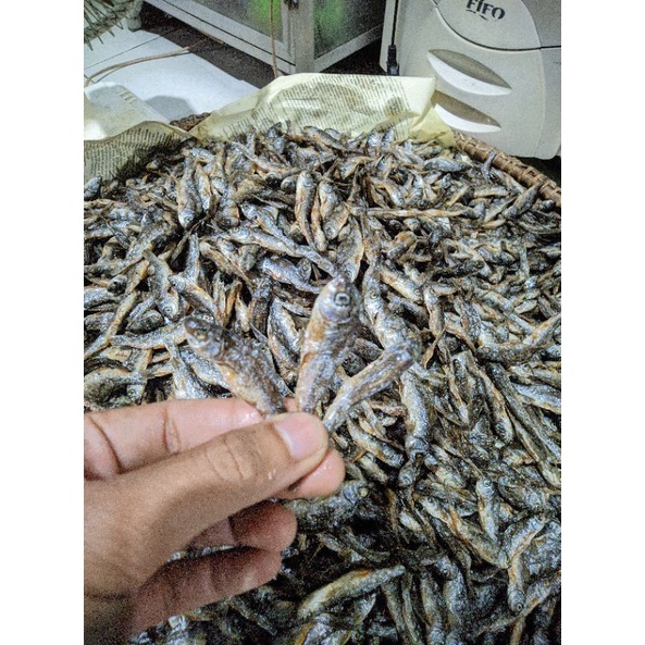 

ikan bilih goreng murah