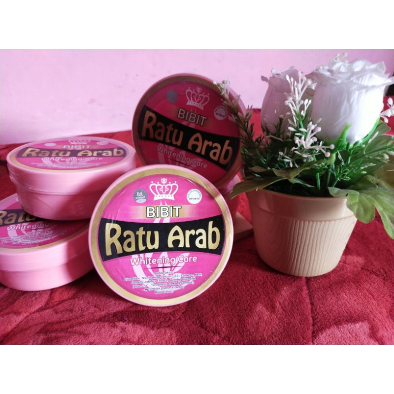 Hb bibit ratu arab original