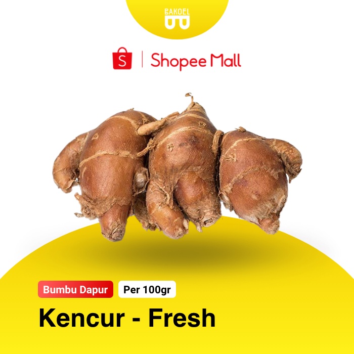 

Kencur Fresh - Bakoel Sayur Online