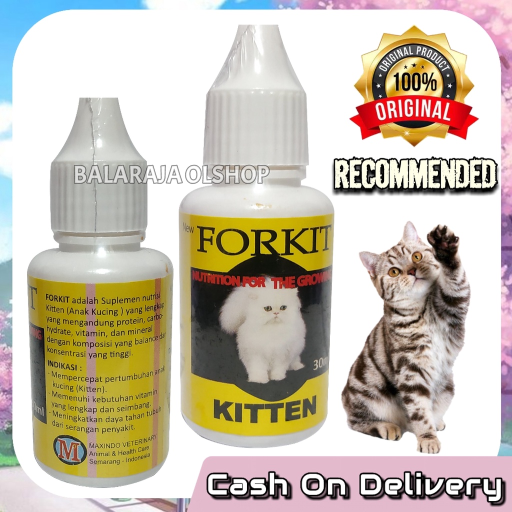 Vitamin Anak Kucing Untuk Meningkatkan Pertumbuhan Kucing Penambah Nafsu Makan FORKIT