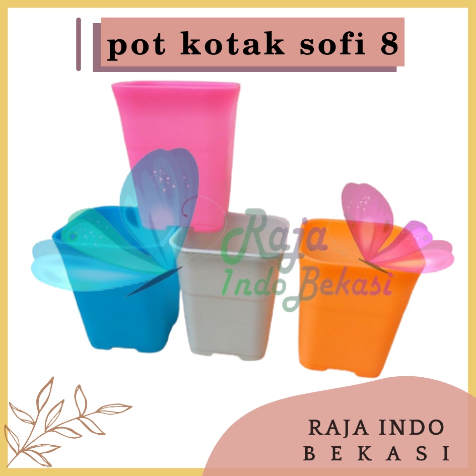 Pot Kotak Sofi 8 Cm / Batik 8cm Putih Pink Hijau Biru - Pot Tosca Sanse Sekulen Mini Kaktus Pot 8CM