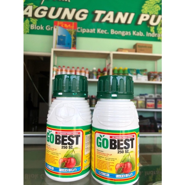 Fungsida Gobest 250SC