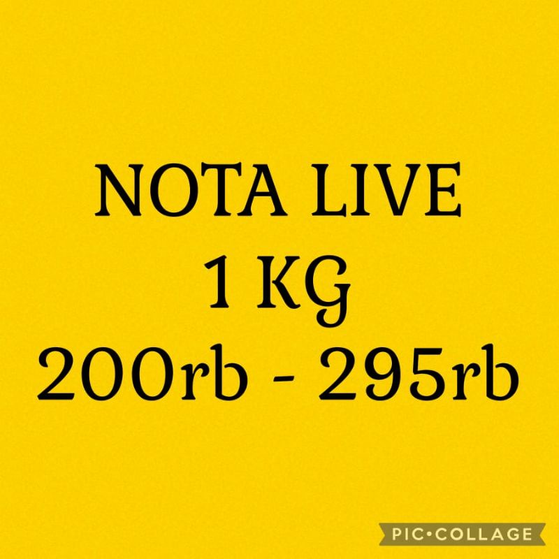 

LINK NOTA LIVE 1KG 200+