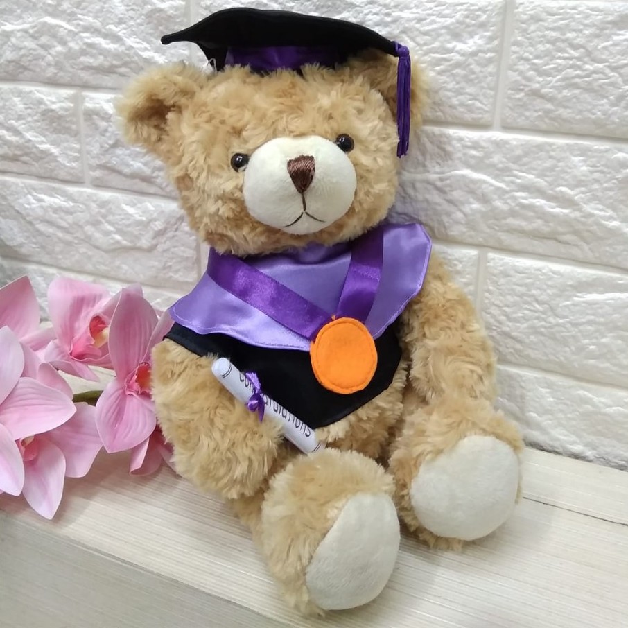 Boneka Wisuda Toga Ungu 10"/boneka graduation/Boneka Toga/Kado Wisuda