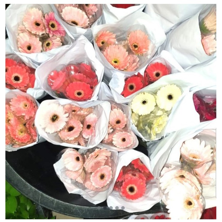 Image of Garbera Fresh Flower Bunga Potong Segar Tangerang Florist Supplier #2