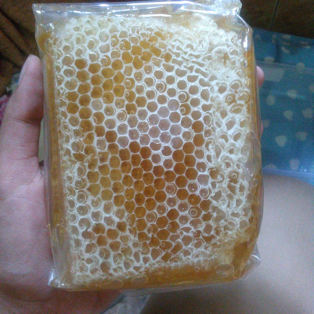 

{Bayar Di Tempat }SARANG MADU ASLI MURNI MALANG